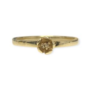 Karen Walker Botanical Plain Ring in 9K Yellow Gold