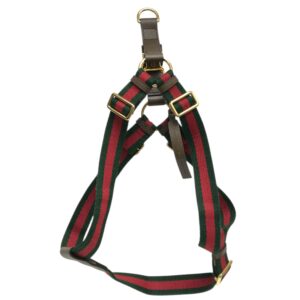 Gucci Dog Harness