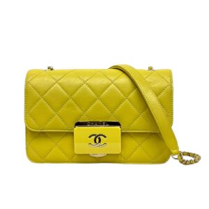 Chanel Quilted Beauty Flap Mini Bag