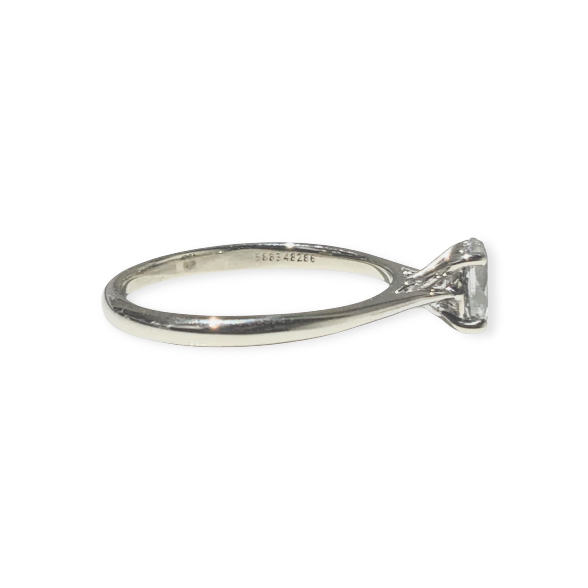 IMG_6438-Photoroom-Photoroom