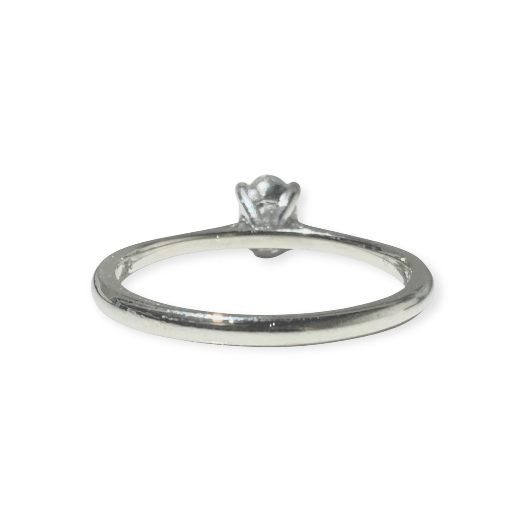 IMG_6440-Photoroom-Photoroom