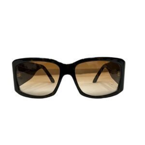 Dior Rain 1 Sunglasses