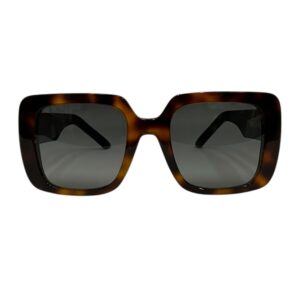 Dior Wildior S3U Sunglass