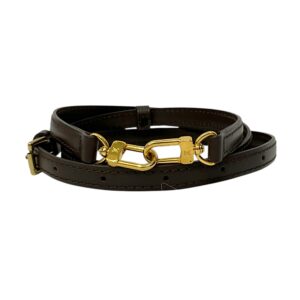Louis Vuitton Damier Bag Strap