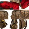 Louis Vuitton Damier Ebene Trevi PM Bag