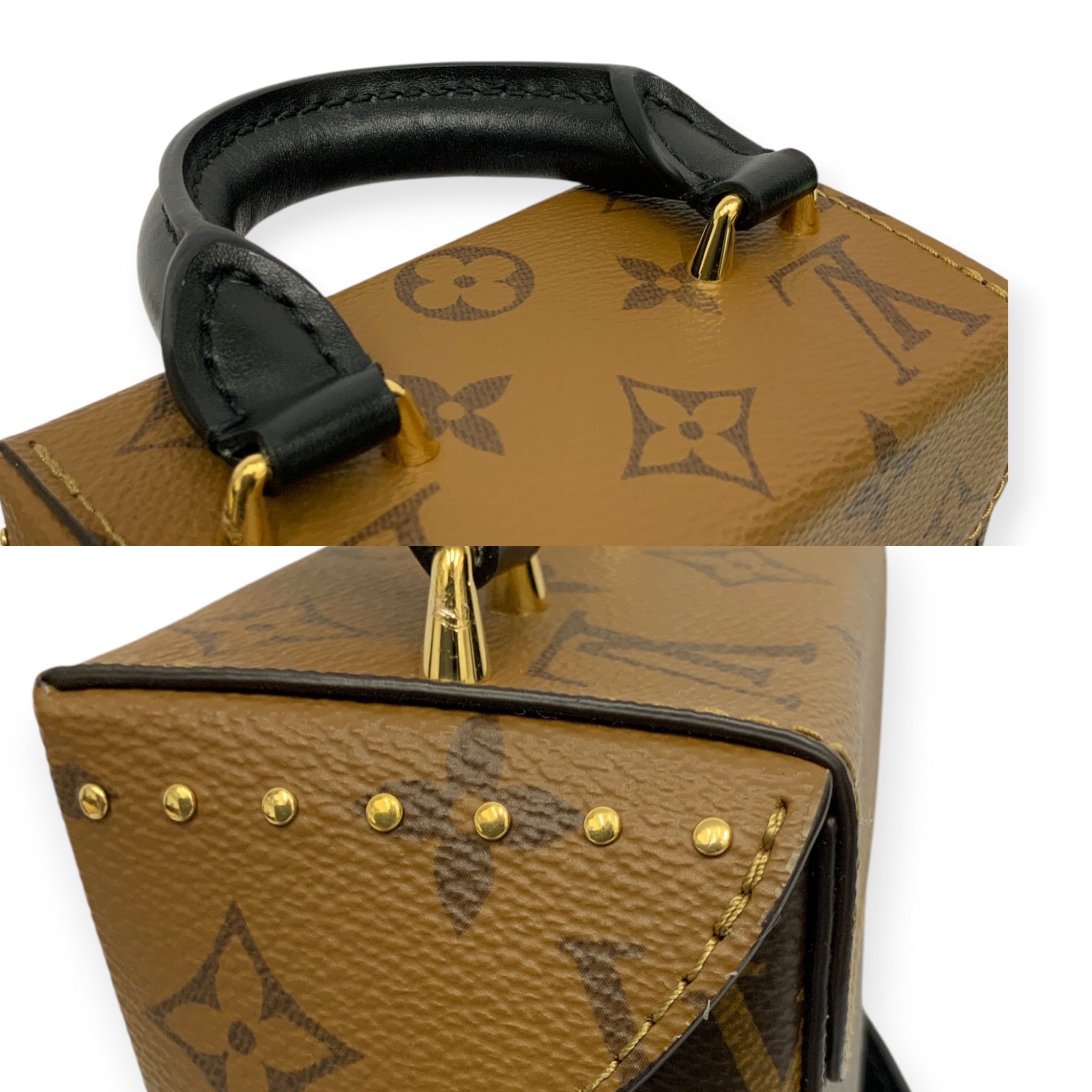 66DC3E4F-C1BB-41C3-BB18-0ADF82DEC968 Louis Vuitton Reverse Monogram Camera Box Bag