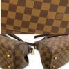 Louis Vuitton Damier Ebene Trevi PM Bag
