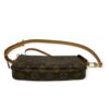 Louis Vuitton Monogram Pochette Accessoires Bag
