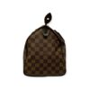 Louis Vuitton Damier Ebene Speedy 30 Bag