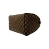 Louis Vuitton Damier Ebene Speedy 30 Bag
