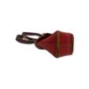 Chloe Mini Clare Crossbody Bag