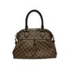 Louis Vuitton Damier Ebene Trevi PM Bag
