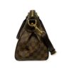 Louis Vuitton Damier Ebene Trevi PM Bag