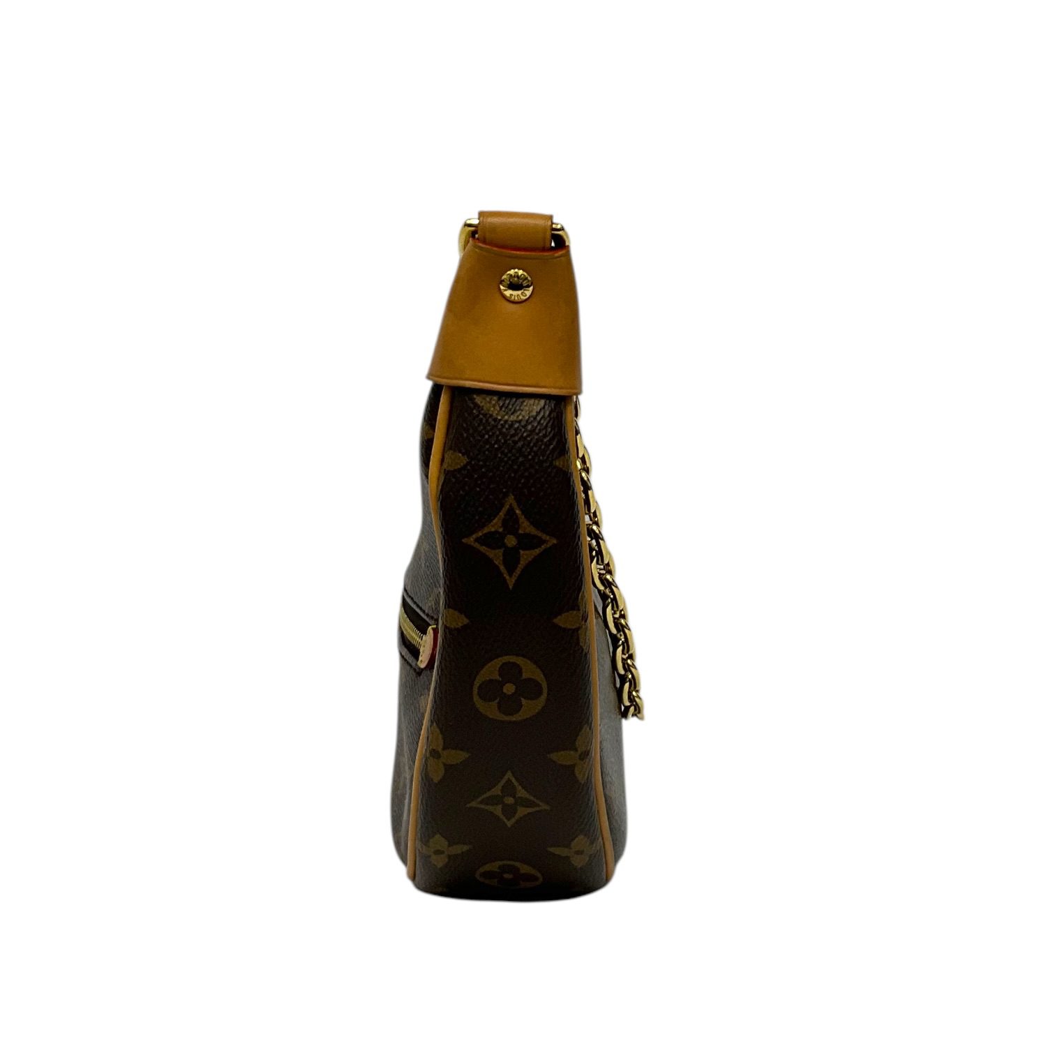 IMG_5383-Photoroom Louis Vuitton Monogram Loop Bag