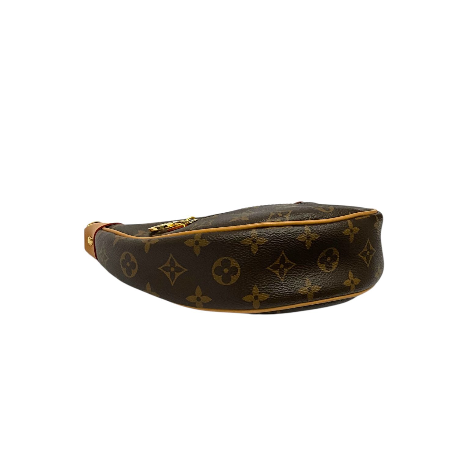 IMG_5385-Photoroom Louis Vuitton Monogram Loop Bag