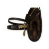 Louis Vuitton Damier Ebene Eva Pochette Accessoire Bag