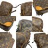 Louis Vuitton Monogram Amazone Crossbody Bag