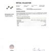 Diamond 1.01ct Earrings in 14K White Gold