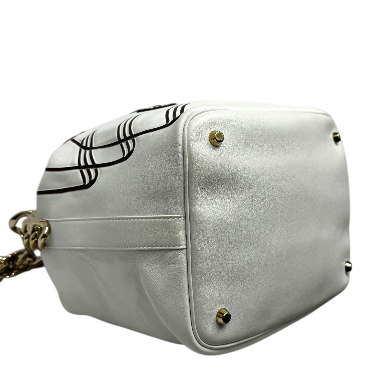 IMG_0163-Photoroom Dior Paradise Bubble Bucket Bag