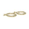 Earrings in 10K Yellow Gold