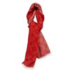 Louis Vuitton Echarpe Monogram Cozy Scarf