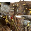 Louis Vuitton Damier Ebene Evora Bag