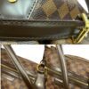 Louis Vuitton Damier Ebene Evora Bag