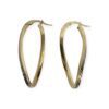 Earrings in 10K Yellow and White Gold