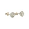 Diamond 0.50ct Earrings in 9K White Gold and Sterling Silver