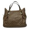 Louis Vuitton Damier Ebene Evora Bag