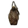 Louis Vuitton Damier Ebene Evora Bag