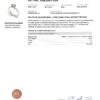 Diamond 1.00ct Ring in 14K White Gold