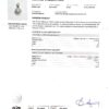 Diamond 0.63ct Pendant in 18K White Gold