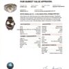 Omega Seamaster Quartz Aqua Terra Watch