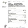 Diamond 1.44ct Earrings in 18K White Gold