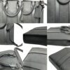 Louis Vuitton Monogram Taurillon Sac Plat Bag