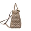 Christian Dior Medium Lady Dior Bag 5 Christian Dior Medium Lady Dior Bag