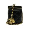 Chanel Quilted Lambskin Mini Vanity Bag